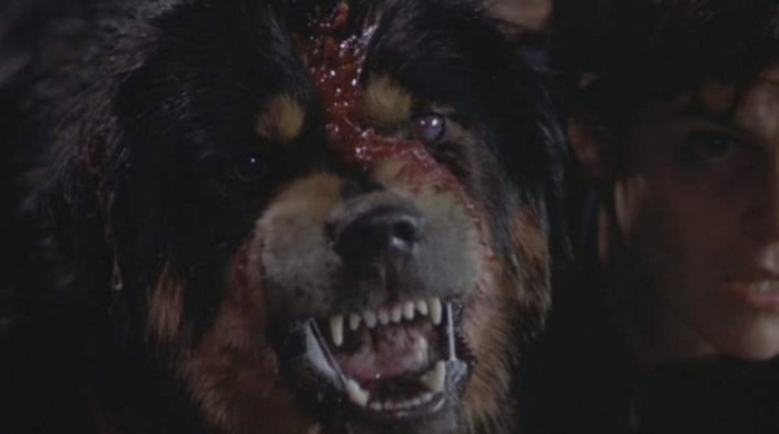 Los perros más temidos del cine de terror