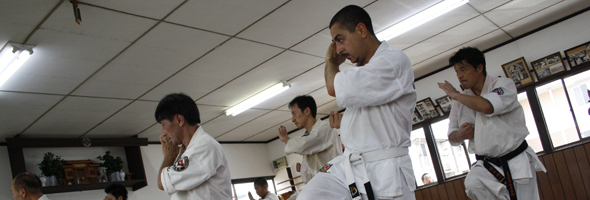 Maestros de las artes marciales II