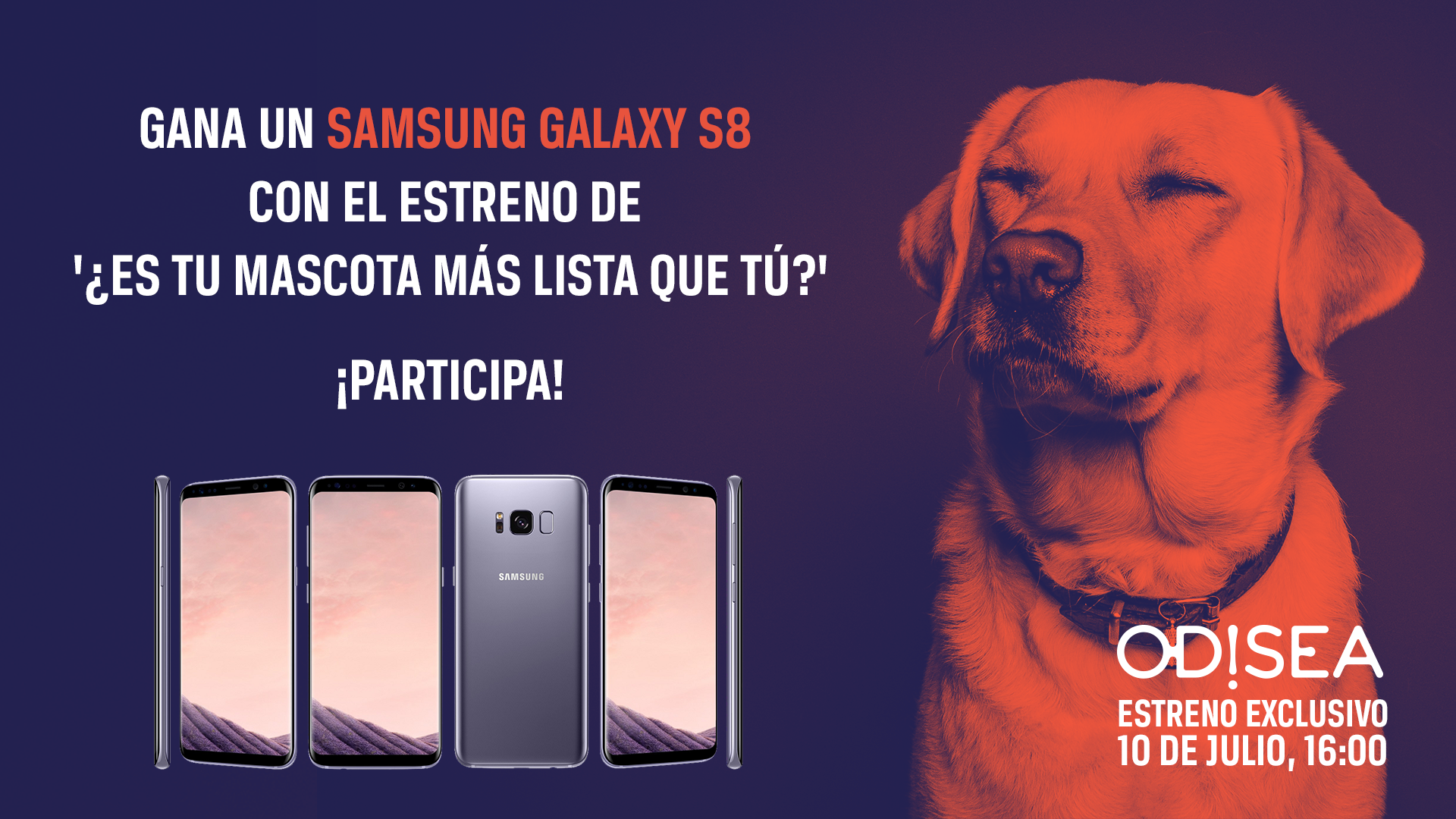 ¡Demuestra que tu mascota es más lista que tú y gana un Samsung Galaxy S8!