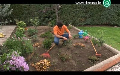 Cómo mantener un jardín acidófilo