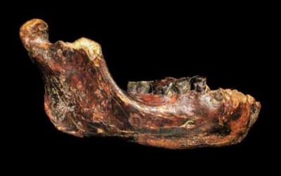 Aparece en Taiwán la mandíbula de un hombre prehistórico desconocido