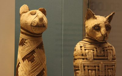 ¿Monos policías y perros cazando leones? Mascotas en el Antiguo Egipto