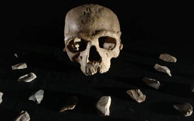 Nuevos indicios en Homo Sapiens: los nuevos orígenes