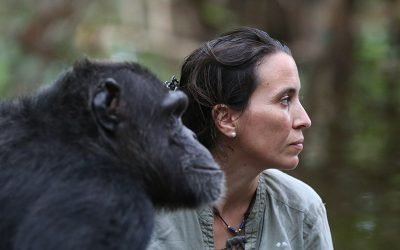 Jane Goodall: la esperanza de los chimpancés T2